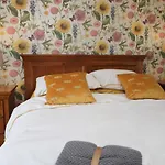 3 Springfort